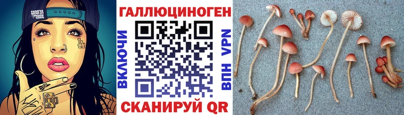 Псилоцибиновые грибы мухоморы  KRAKEN tor  Вихоревка 